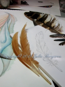 Feather pencil sketch © 2013 Julie Bergeron